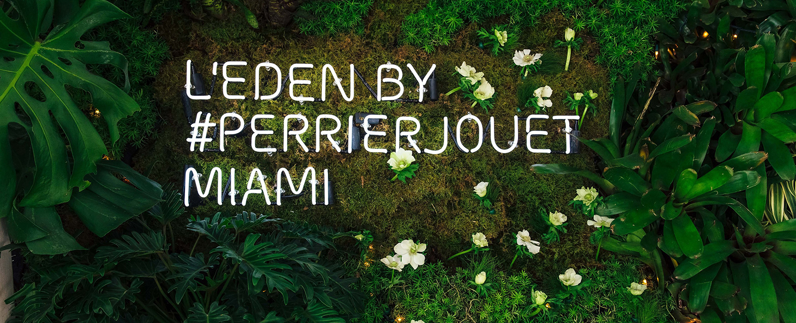 eden miami perrier jouet 2015